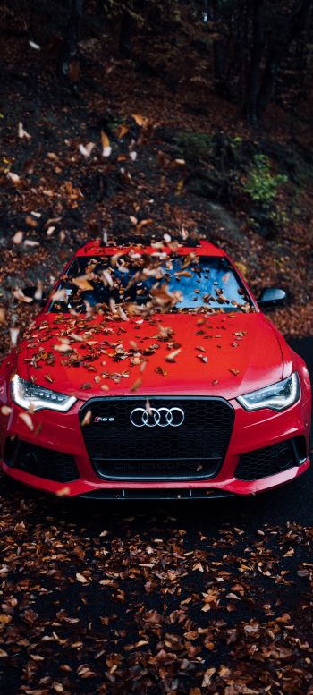 Audi RS 6, autumn Wallpaper 1080x2400
