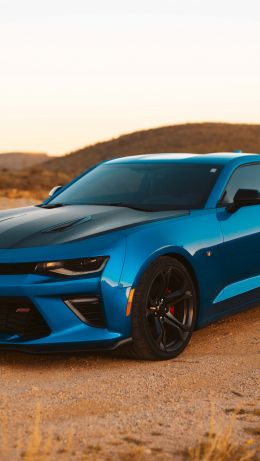 Chevrolet Camaro, sports car, mustang Wallpaper 640x1136