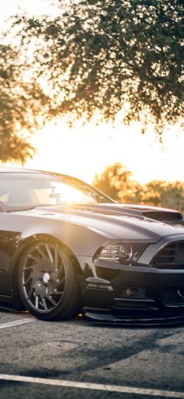 Ford Mustang, sports car, mustang Wallpaper 1284x2778