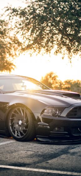 Ford Mustang, sports car, mustang Wallpaper 1080x2340