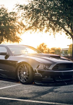 Ford Mustang, sports car, mustang Wallpaper 1640x2360