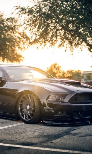 Ford Mustang, sports car, mustang Wallpaper 1200x2000