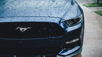 Ford Mustang, sports car, drops Wallpaper 1280x720