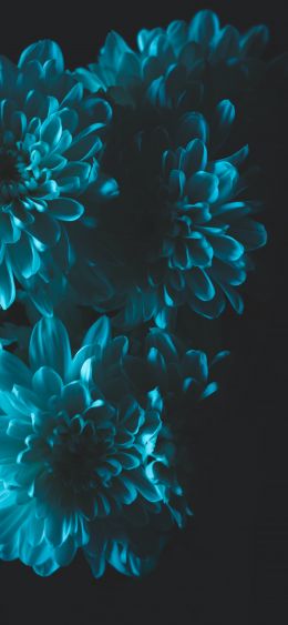 blue, black Wallpaper 1080x2340