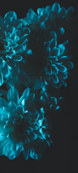 blue, black Wallpaper 1080x2400