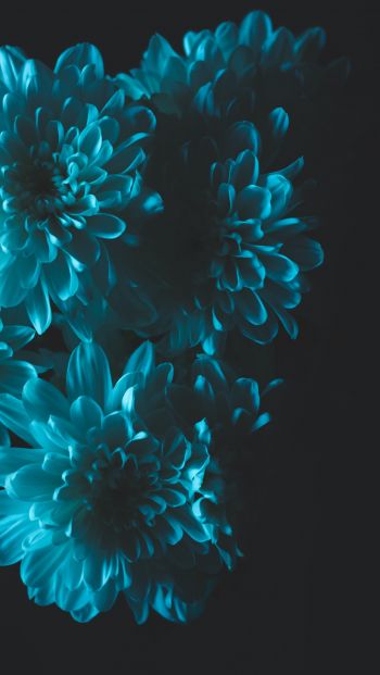 blue, black Wallpaper 640x1136