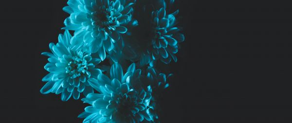 blue, black Wallpaper 2560x1080