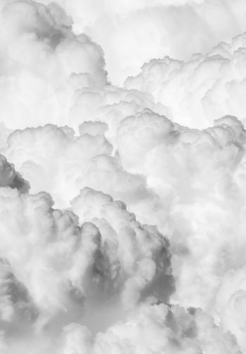 cumulus, black and white Wallpaper 1640x2360