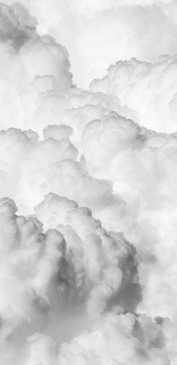 cumulus, black and white Wallpaper 1080x2220
