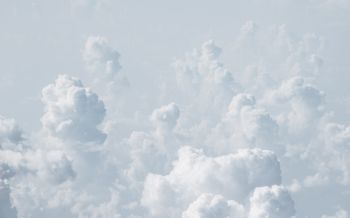 Обои 1920x1200 кучевые облака, небо, белый