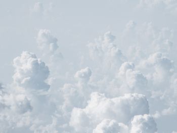 cumulus, sky, white Wallpaper 800x600