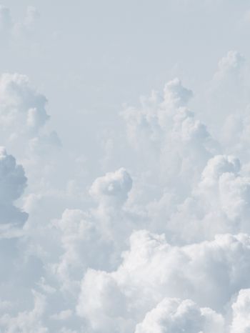 Обои 1620x2160 кучевые облака, небо, белый