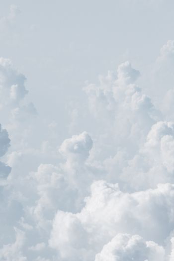 Обои 640x960 кучевые облака, небо, белый
