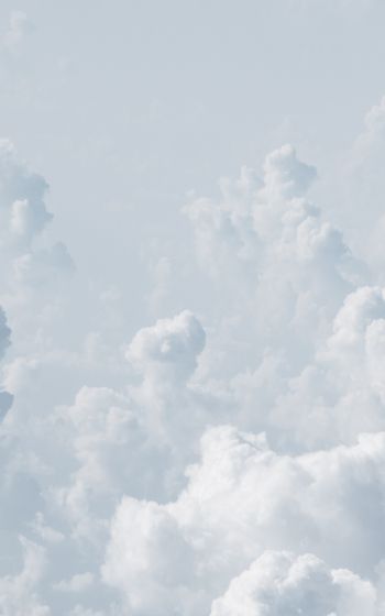 cumulus, sky, white Wallpaper 1200x1920
