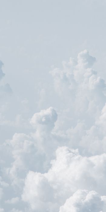 cumulus, sky, white Wallpaper 720x1440