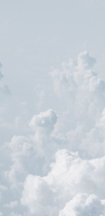 cumulus, sky, white Wallpaper 1080x2220