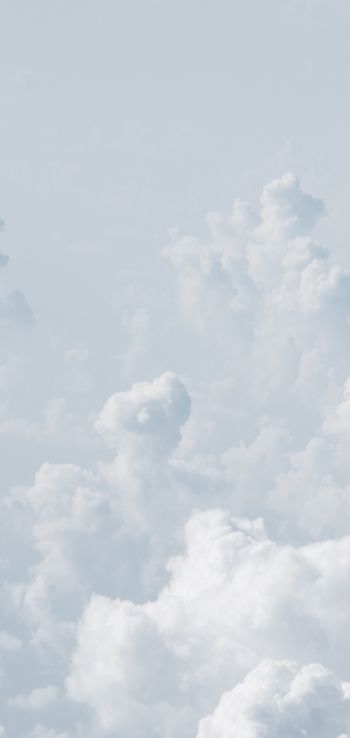 cumulus, sky, white Wallpaper 720x1520
