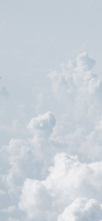 cumulus, sky, white Wallpaper 828x1792