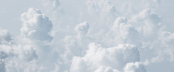 cumulus, sky, white Wallpaper 3440x1440