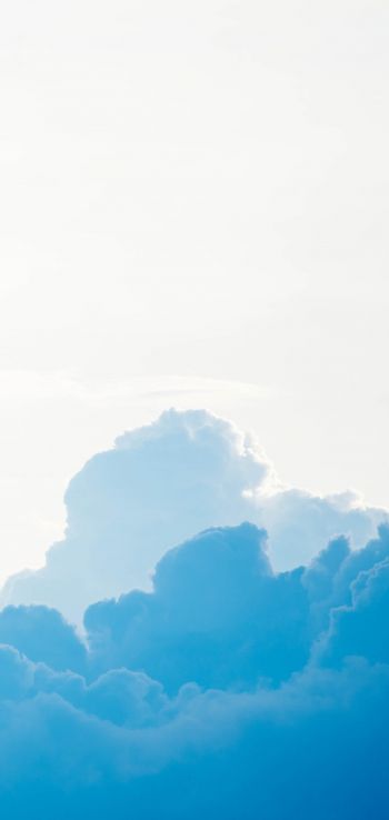 cumulus, sky, blue Wallpaper 1080x2280