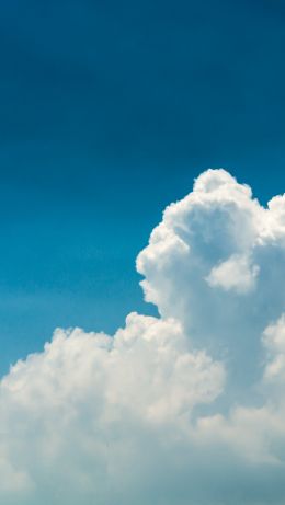 cumulus, sky, blue Wallpaper 640x1136