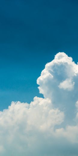 cumulus, sky, blue Wallpaper 720x1440