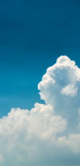 cumulus, sky, blue Wallpaper 1440x2960