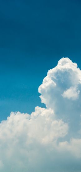 cumulus, sky, blue Wallpaper 1080x2280