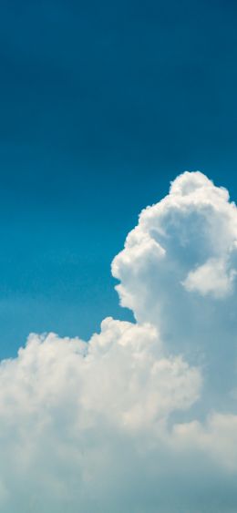 cumulus, sky, blue Wallpaper 1080x2340