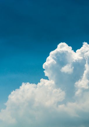 cumulus, sky, blue Wallpaper 1668x2388