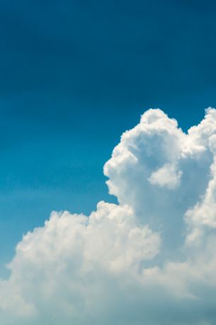 cumulus, sky, blue Wallpaper 640x960