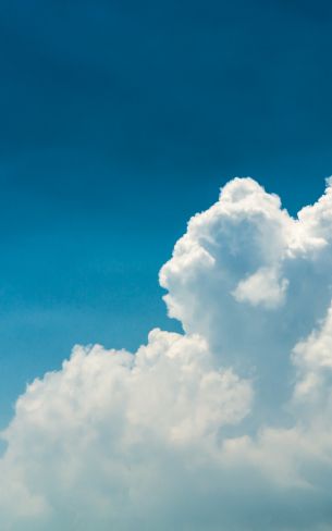 cumulus, sky, blue Wallpaper 1200x1920