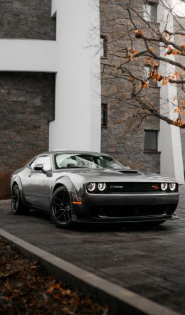 Обои 600x1024 Dodge Challenger, мустанг, спортивная машина