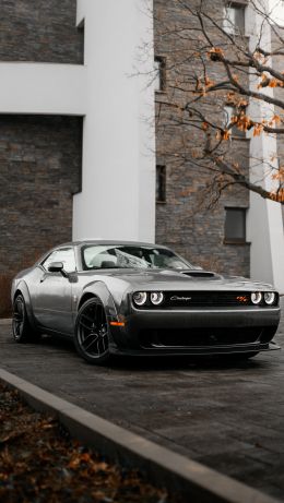 Обои 640x1136 Dodge Challenger, мустанг, спортивная машина