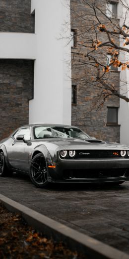 Dodge Challenger, mustang, sports car Wallpaper 720x1440