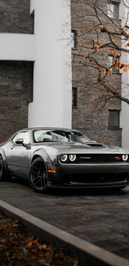 Обои 1080x2220 Dodge Challenger, мустанг, спортивная машина