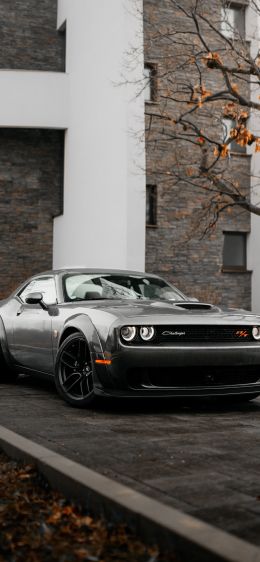 Dodge Challenger, mustang, sports car Wallpaper 828x1792