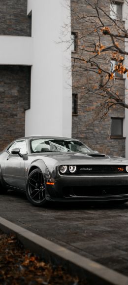 Dodge Challenger, mustang, sports car Wallpaper 1080x2400