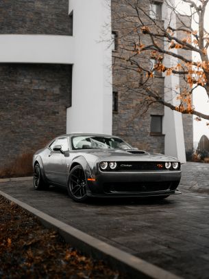 Обои 1668x2224 Dodge Challenger, мустанг, спортивная машина