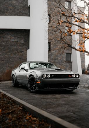 Обои 1640x2360 Dodge Challenger, мустанг, спортивная машина