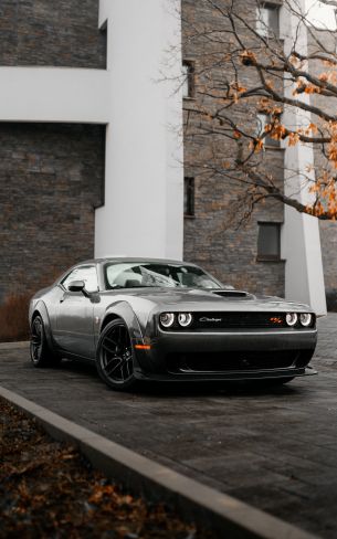 Обои 1600x2560 Dodge Challenger, мустанг, спортивная машина