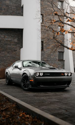 Обои 1200x2000 Dodge Challenger, мустанг, спортивная машина