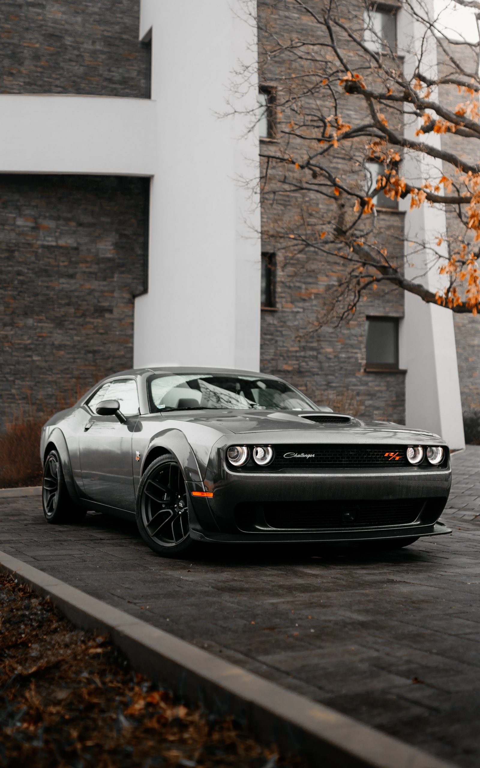 Dodge Challenger, мустанг, спортивная машина Обои 1600x2560 Samsung Galaxy  Tab S7, S5e / Huawei MatePad 10.8, Pro / Lenovo Tab P11 Pro