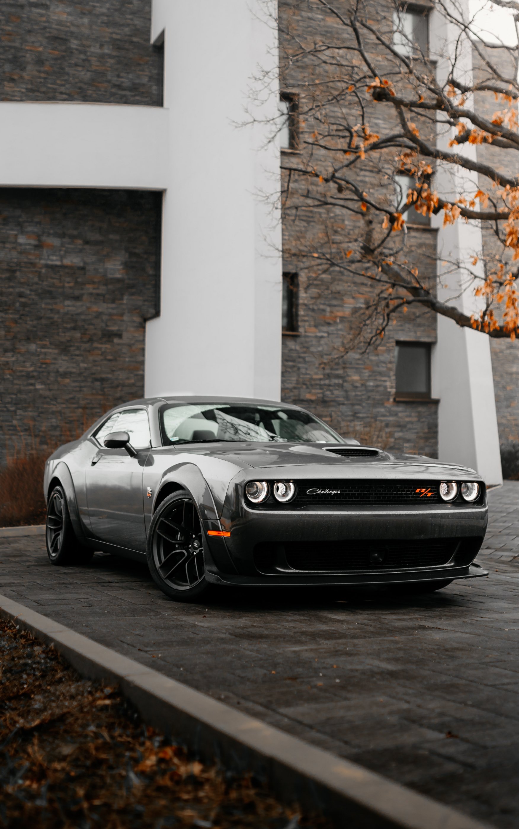 Dodge Challenger, мустанг, спортивная машина Обои 1752x2800 Samsung Galaxy  Tab S7+