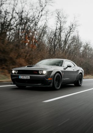 Обои 1668x2388 Dodge Challenger, мустанг, спортивная машина