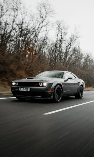 Обои 1200x2000 Dodge Challenger, мустанг, спортивная машина