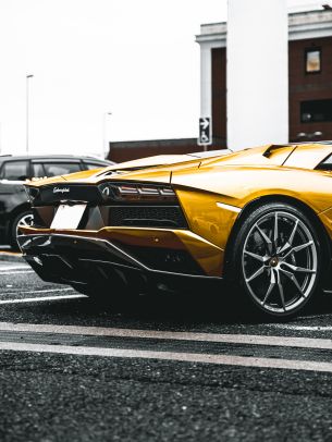 Обои 1536x2048 Lamborghini Aventador, спортивная машина