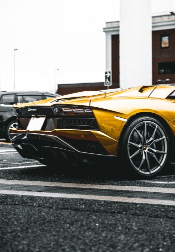 Lamborghini Aventador, sports car Wallpaper 1640x2360