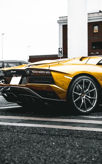 Lamborghini Aventador, sports car Wallpaper 1600x2560
