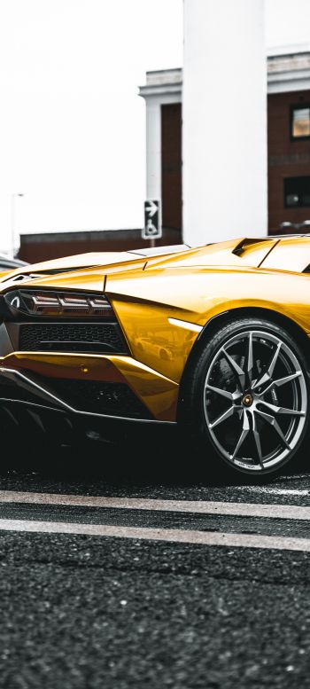 Lamborghini Aventador, sports car Wallpaper 1080x2400